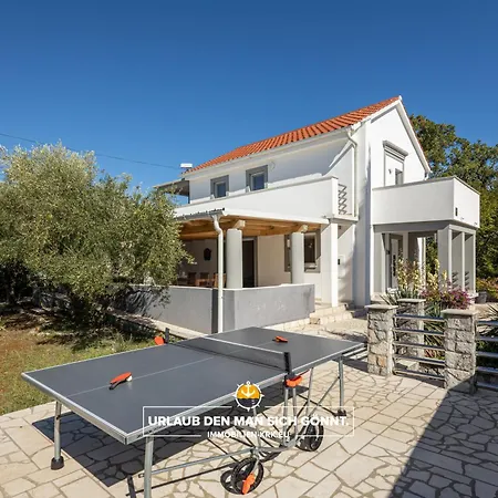 5 Elements * Gostinjac