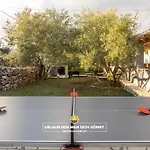 5 Elements *